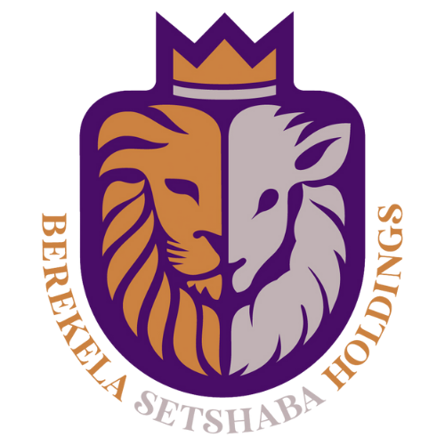 Berekela Setshaba Holdings